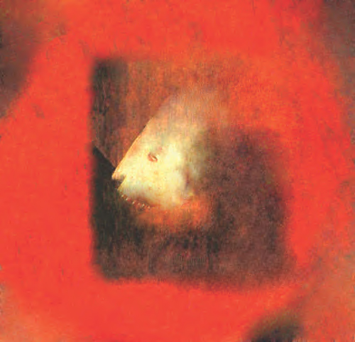 Dolore allo specchio. Digital print. Cm. 100X100