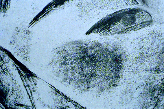 -Guerrero. Paper. Cm. 40X25