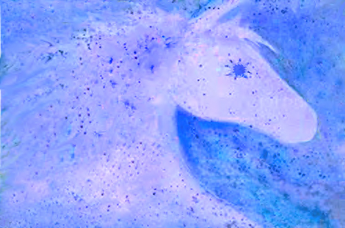 Stelle a cavallo. Digital print. Cm. 100X70