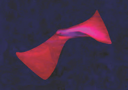 Volo nella notte. Digital print. Cm. 100X70